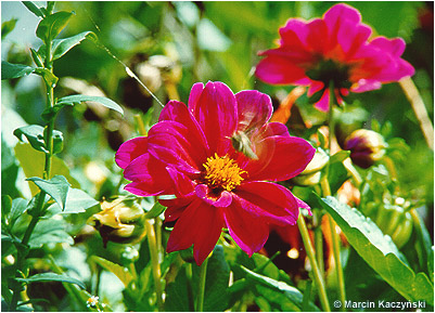 (No 2) Back to index