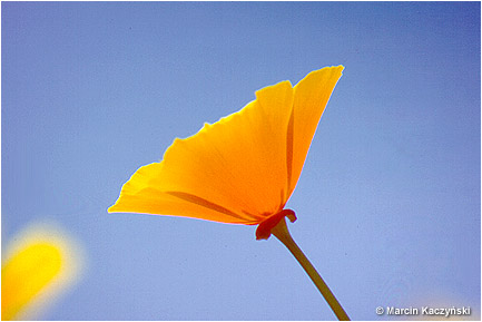 (No 8) Back to index