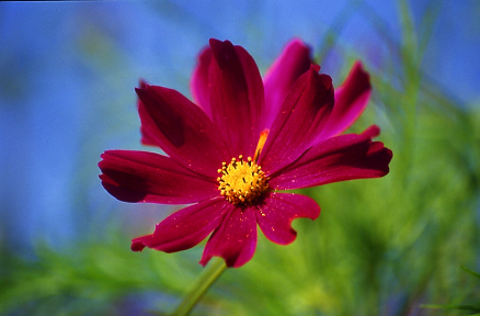 (No 12) Back to index