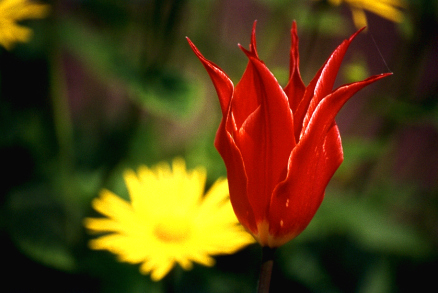 (No 15) Back to index