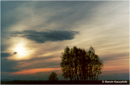 (No 1) Back to index