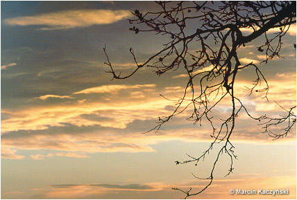 (No 2) Back to index